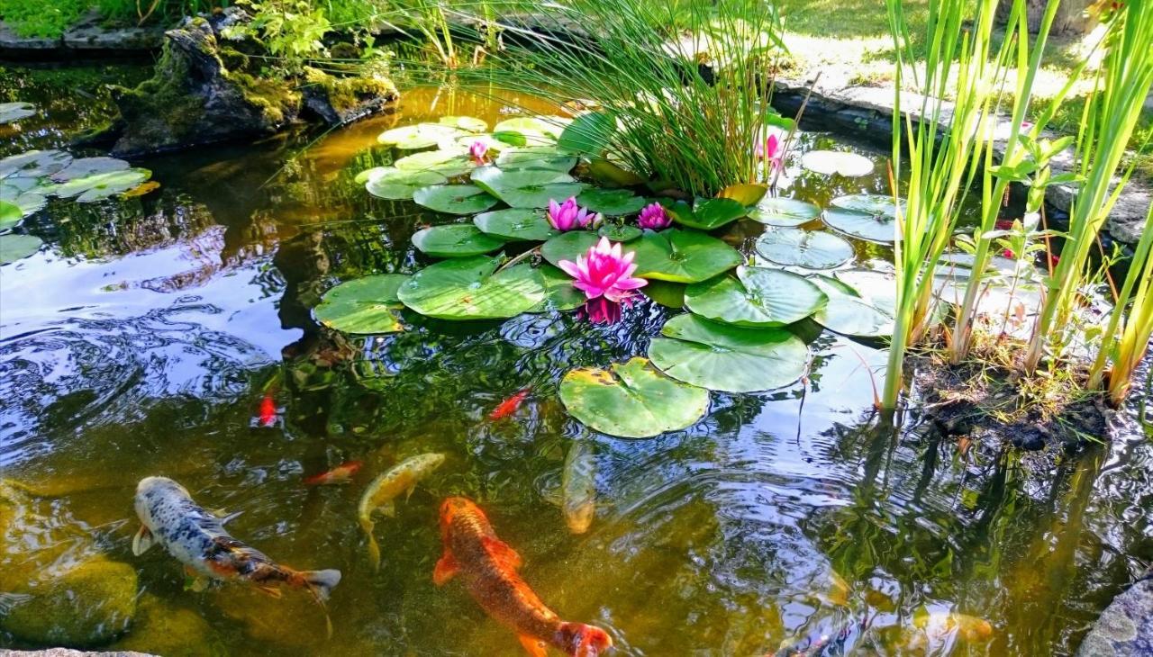 Gite Pause Au Jardin Villa Saint-Branchs Exteriör bild